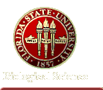 Authentic FSU Web page