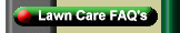 Lawn Care FAQs
